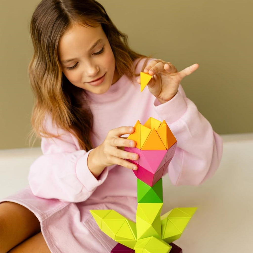 Magnetic 3D Shape Building Set : 24 Pieces + Magnetic Eyes