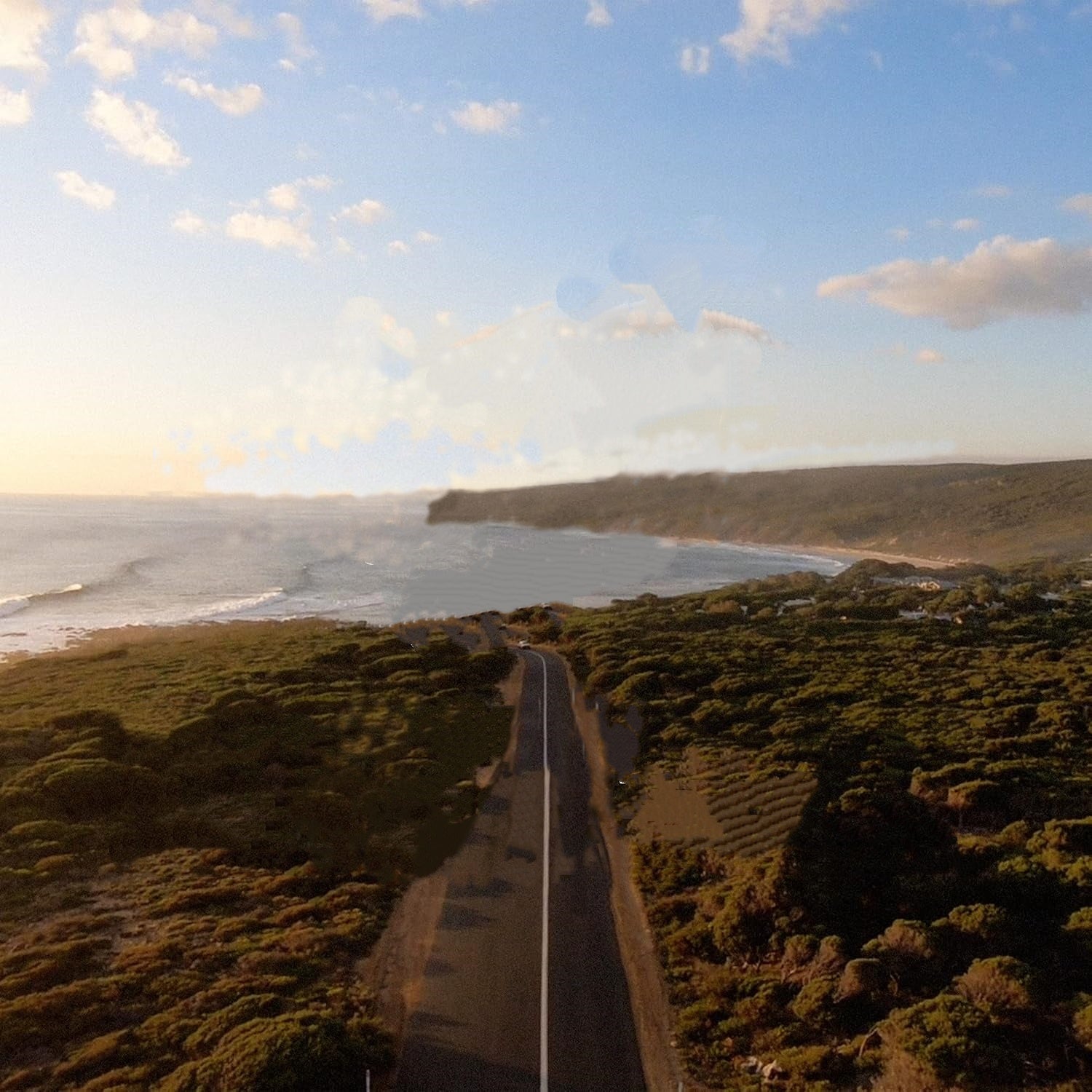 Longboard Ankle Leash : 10ft / 3.0m — For Medium to Large Waves
