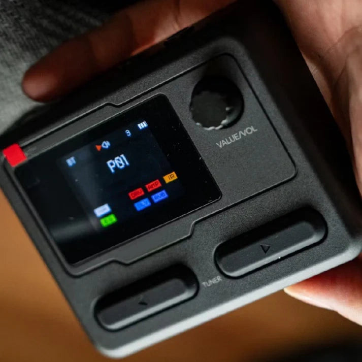 Portable multi-effects processor