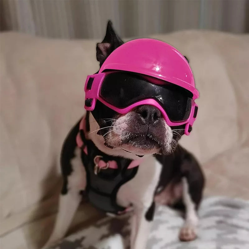Dog Motorcycle Helmet & Goggles Set : Safety + Style