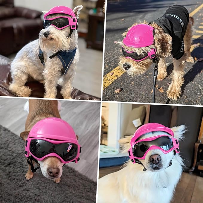 Dog Motorcycle Helmet & Goggles Set : Safety + Style