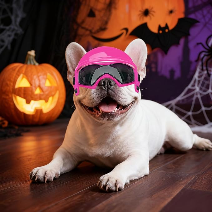 Dog Motorcycle Helmet & Goggles Set : Safety + Style